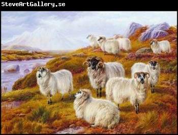 unknow artist Sheep 063